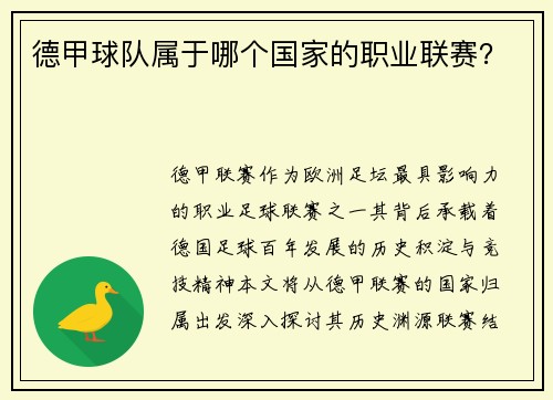 德甲球队属于哪个国家的职业联赛？
